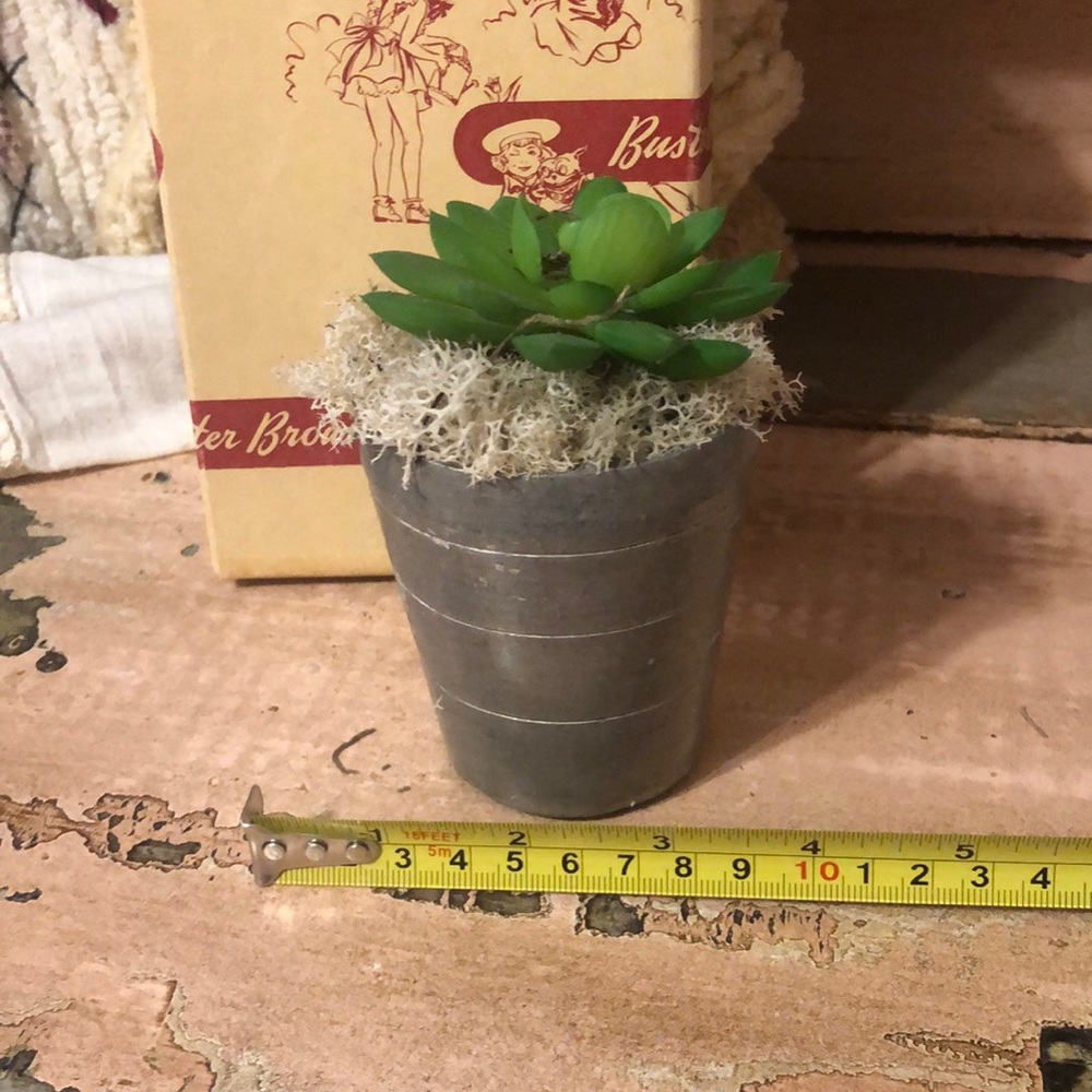 Vintage tin cup w artificial succulent